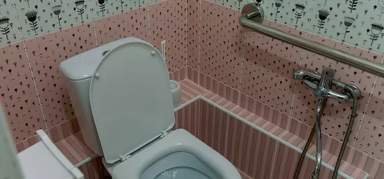 Meeting Diverse Needs With Accessible Restroom Solutions in Dyer, IN